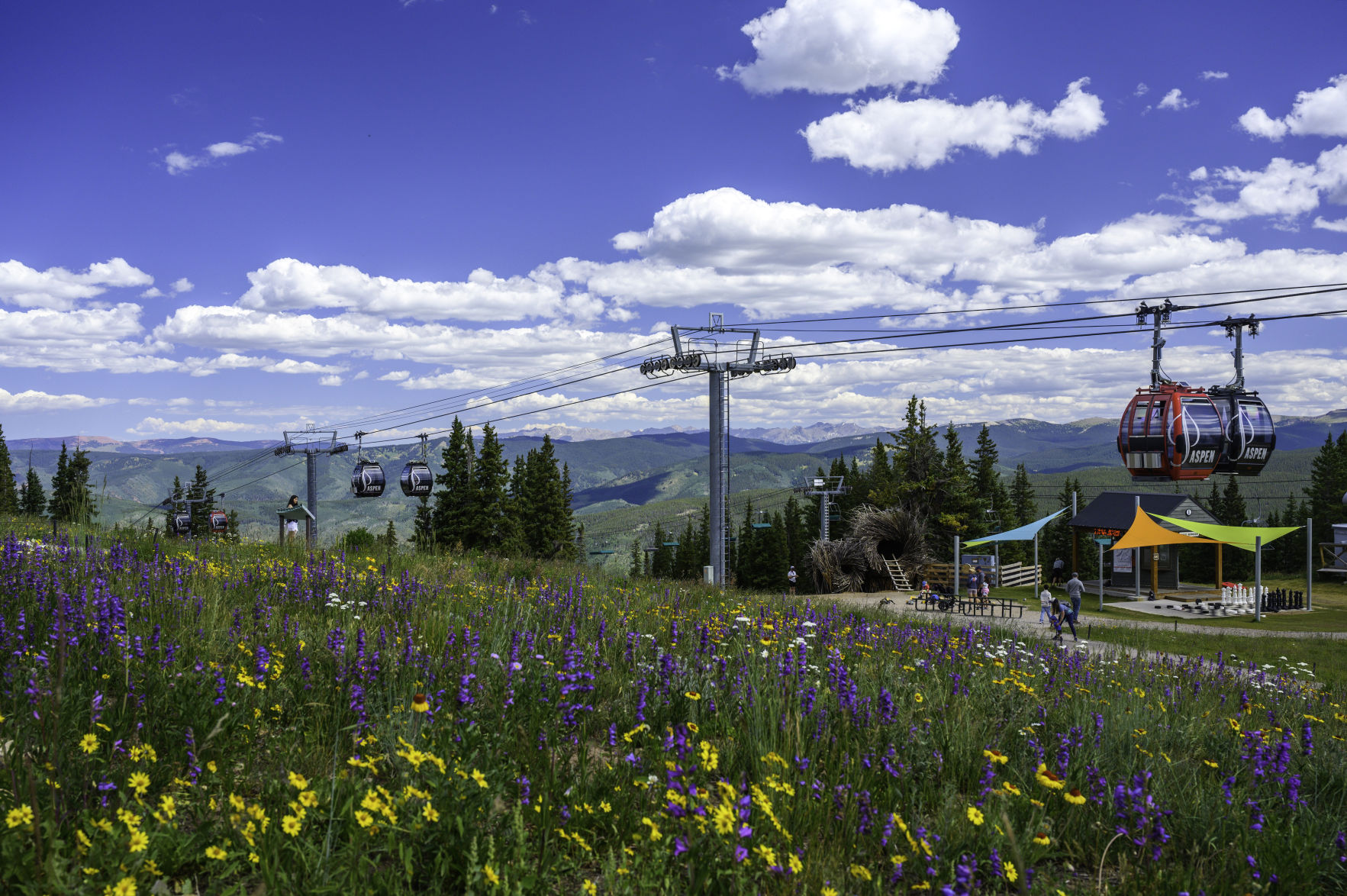 The top of Aspen Mountain